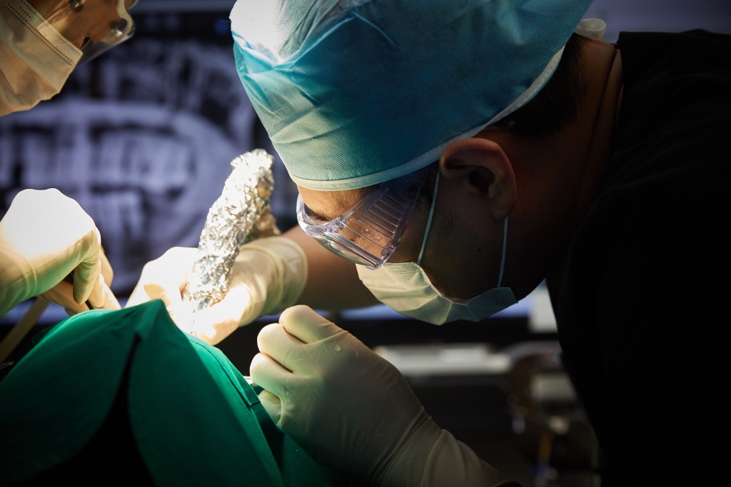 임플란트 수술 클로즈업